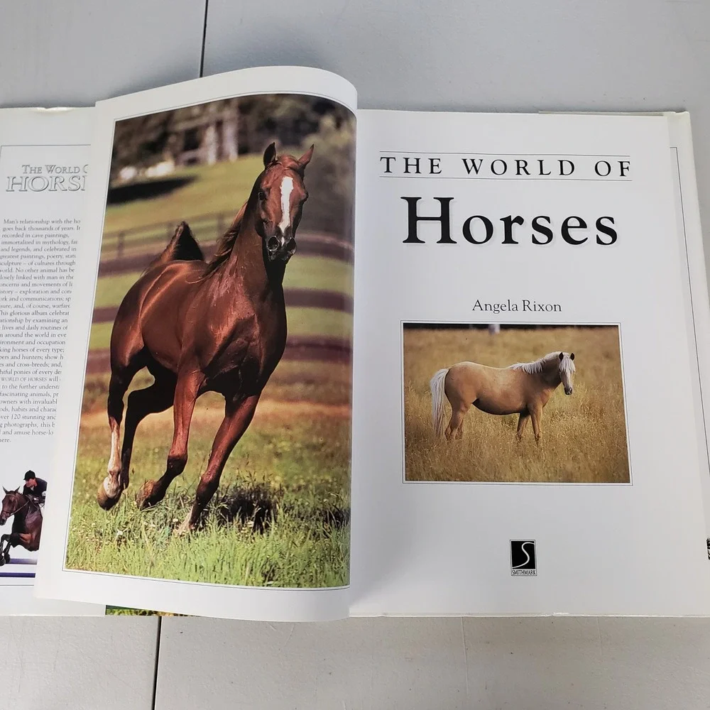 The World of Horses Angela Rixon Hardcover Book 1994 Smithmark Photography